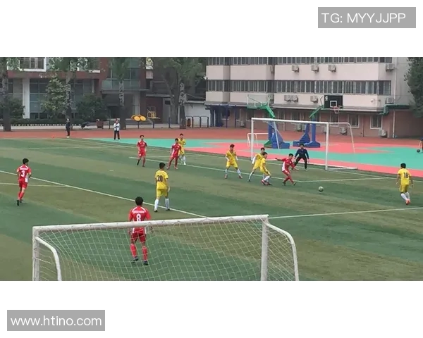 乒乓球的魅力：深入了解西安乒乓球队的团结与协作精神