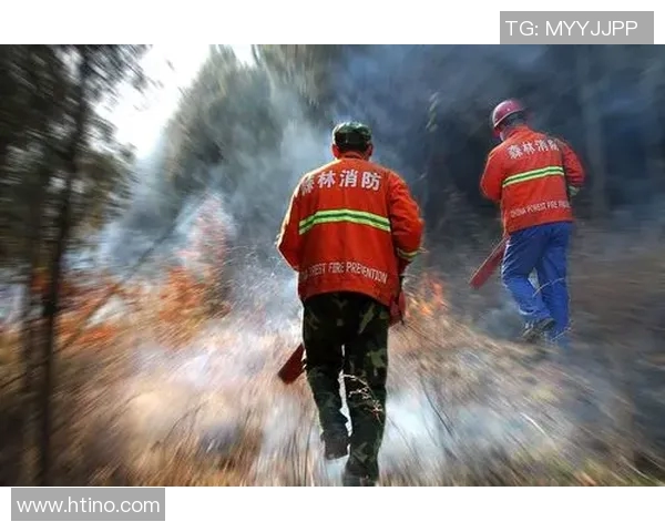 杭州篮球队的拼搏之路:一段热血奋斗的纪实故事 杭州篮球队的拼搏之路:一段热血奋斗的纪实故事