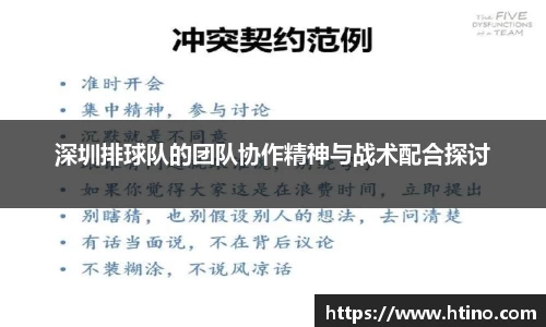 深圳排球队的团队协作精神与战术配合探讨